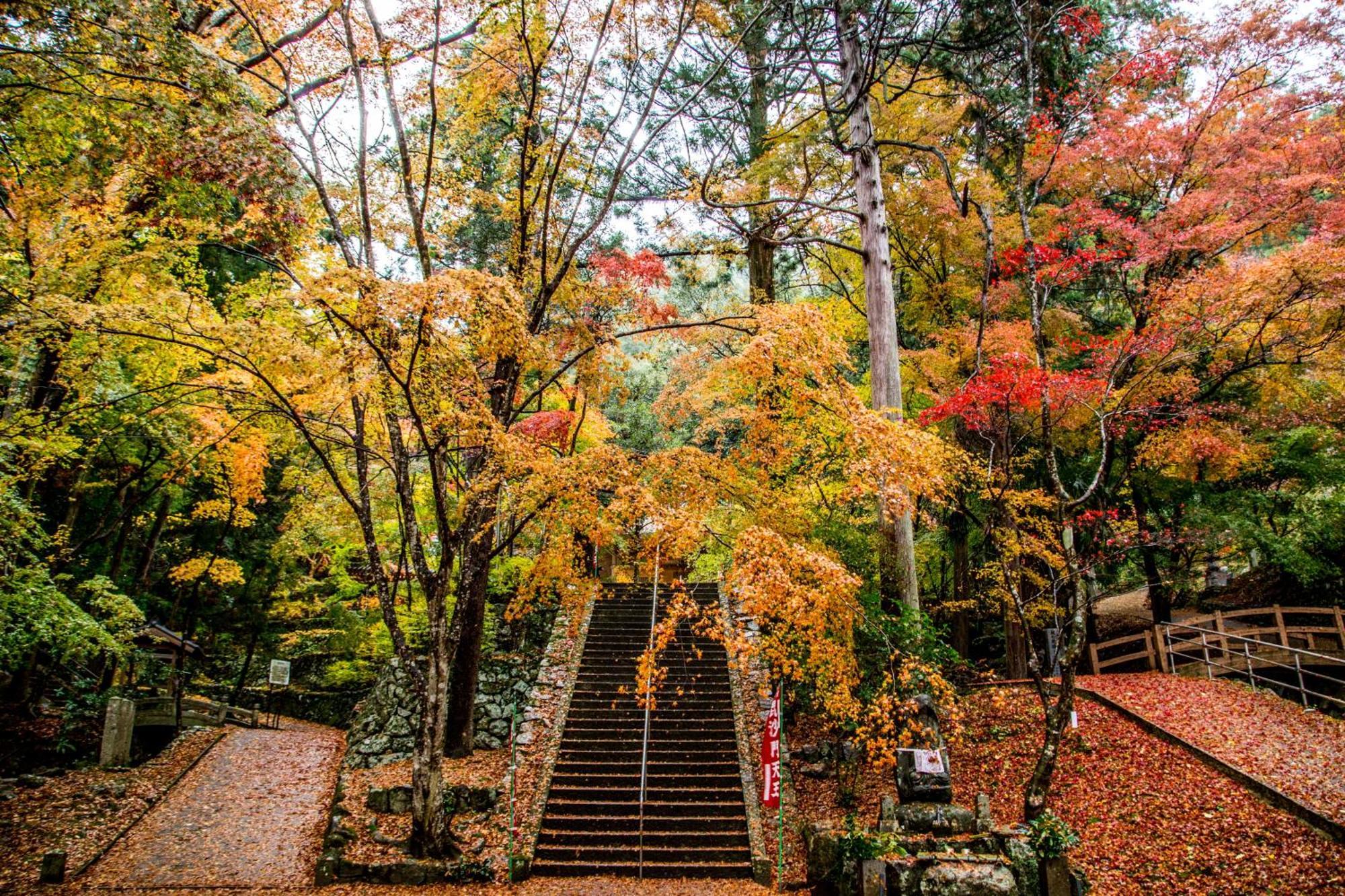 Satoyama Hotel Kanenone Tamba Maibara Exterior photo